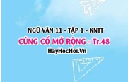 Soạn bài Củng cố, mở rộng trang 48 Ngữ văn lớp 11 Kết nối tri thức tập 1